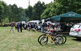 piknik8