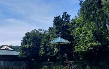 Zdjęcie WhatsApp 2024-07-17 o 11.57.29_6a63c76b