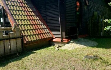 Zdjęcie WhatsApp 2024-07-17 o 11.57.27_d3f772f3