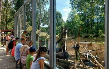 Zdjęcie WhatsApp 2024-07-17 o 11.56.34_bbcb02fa