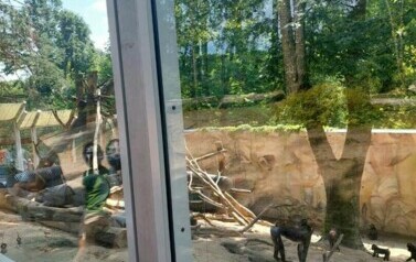 Zdjęcie WhatsApp 2024-07-17 o 11.56.30_59bf0df4