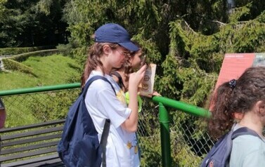 IMG_20240716_114819