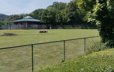 IMG_20240716_114648