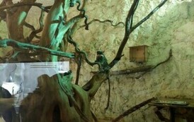 Zdjęcie WhatsApp 2024-07-17 o 11.57.20_84306a6a