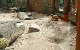 Zdjęcie WhatsApp 2024-07-17 o 11.57.15_21f4d015