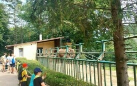 Zdjęcie WhatsApp 2024-07-17 o 11.56.55_ff21ac53