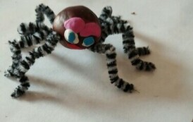 462794911_1096516202273523_6242282014877315535_n